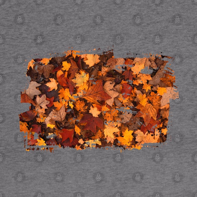 autumn leaves by MINOUCHSTORE